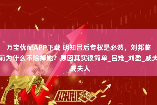 万宝优配APP下载 明知吕后专权是必然，刘邦临死前为什么不除掉她？原因其实很简单_吕雉_刘盈_戚夫人