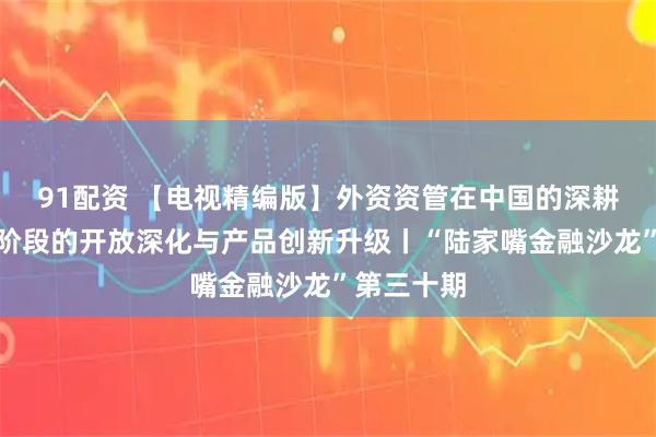 91配资 【电视精编版】外资资管在中国的深耕之道：新阶段的开放深化与产品创新升级丨“陆家嘴金融沙龙”第三十期