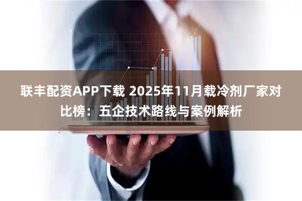 联丰配资APP下载 2025年11月载冷剂厂家对比榜：五企技术路线与案例解析