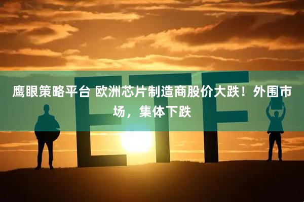 鹰眼策略平台 欧洲芯片制造商股价大跌！外围市场，集体下跌